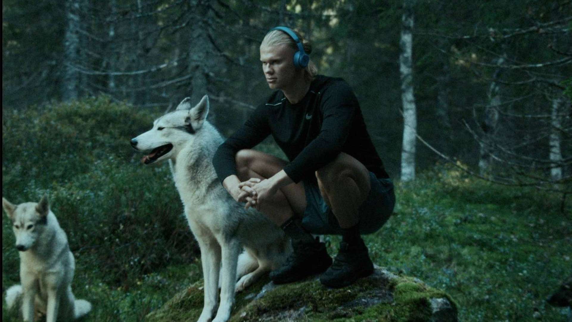 坚持合作 坚持合作