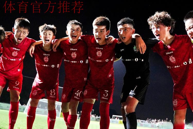 将辞丙申岁 力战中国杯